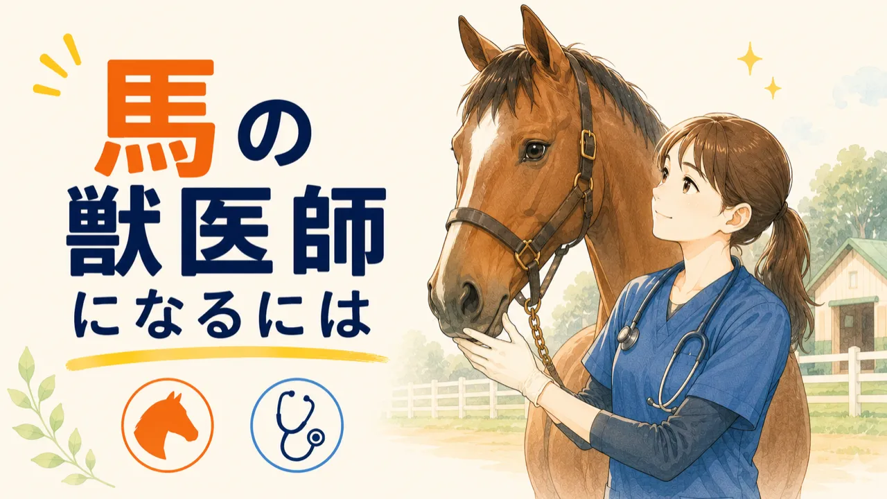 馬の獣医師になるには|4つの働き方・JRAの年収・目指し方を解説