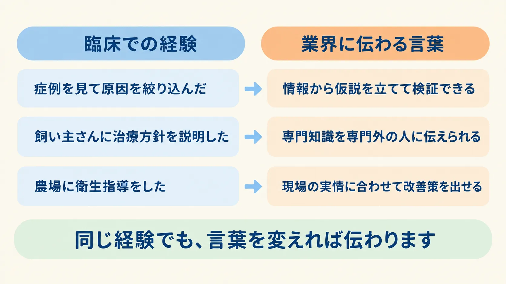 臨床での経験を、業界に伝わる言葉に置き換えた対応表。症例を見て原因を絞り込んだは情報から仮説を立てて検証できる、飼い主さんに治療方針を説明したは専門知識を専門外の人に伝えられる、農場に衛生指導をしたは現場の実情に合わせて改善策を出せる、に言い換えられる