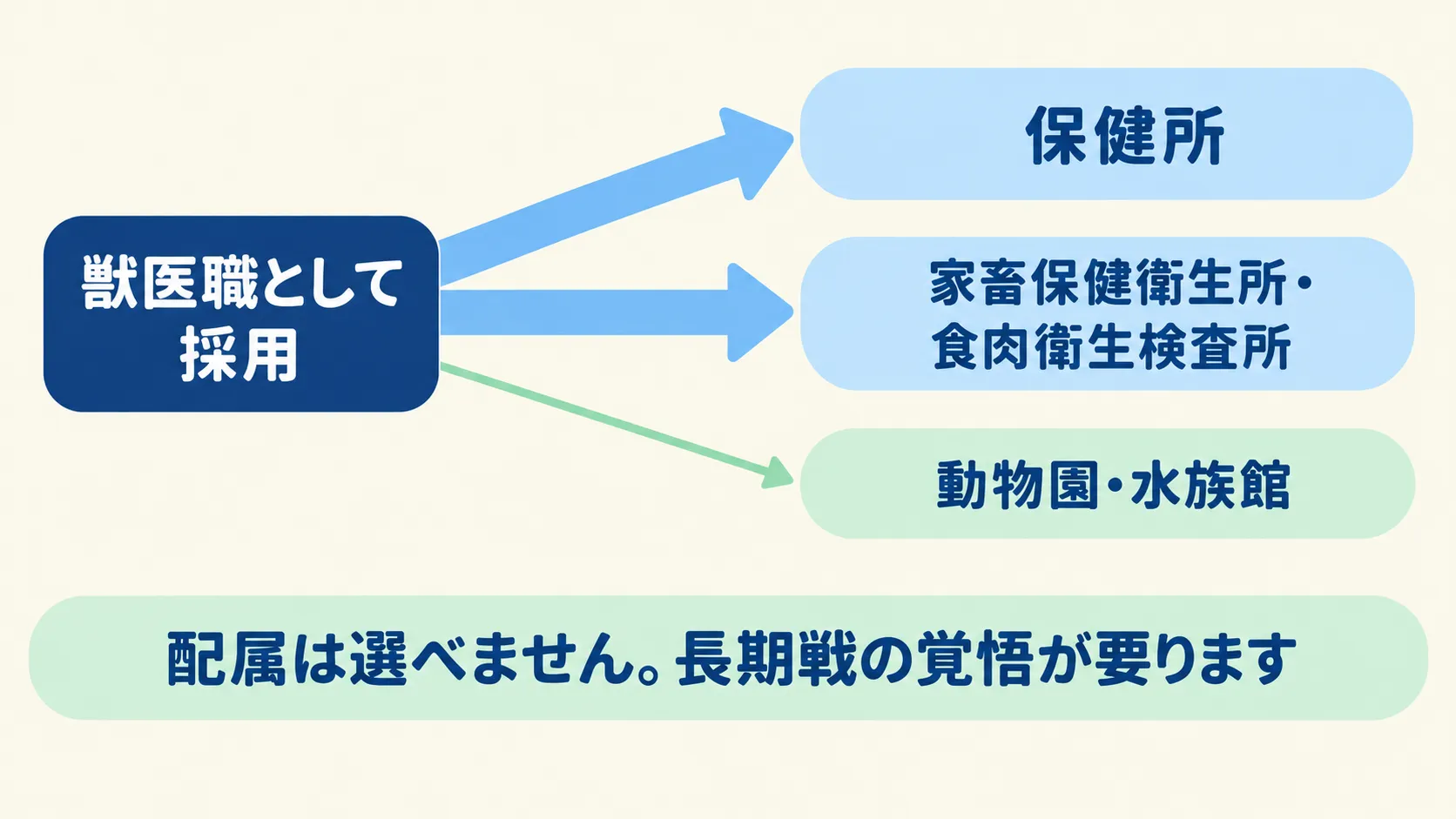 獣医職として採用されたあとの配属先を示した図。保健所と、家畜保健衛生所・食肉衛生検査所へは太い矢印。動物園・水族館へは細い矢印。配属は選べない